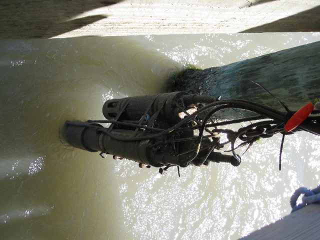 img 0204